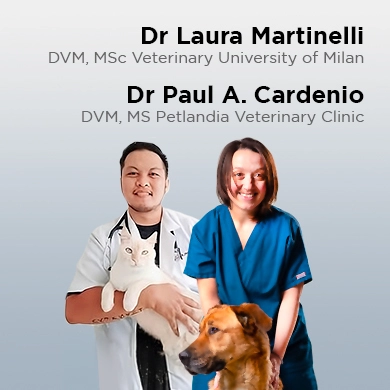 Laura Martinelli, DVM, MSc Veterinaria, Università di Milano, Paul A. Cardenio, DVM, MS Clínica veterinaria Petlandia
