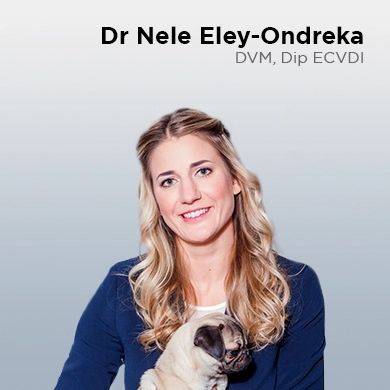 Nele Eley-Ondreka, DVM, miembro ECVDI