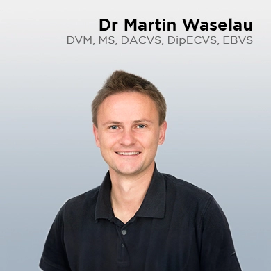Martin Waselau, DVM, MS, DACVS, miembro ECVS, EBVS