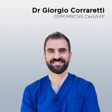 Giorgio Corraretti, DVM, MRCVS, cert. AVP