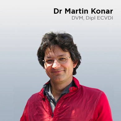 Martin Konar, DVM, miembro ECVDI