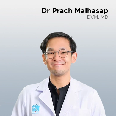 Prach Maihasap, DVM, MD