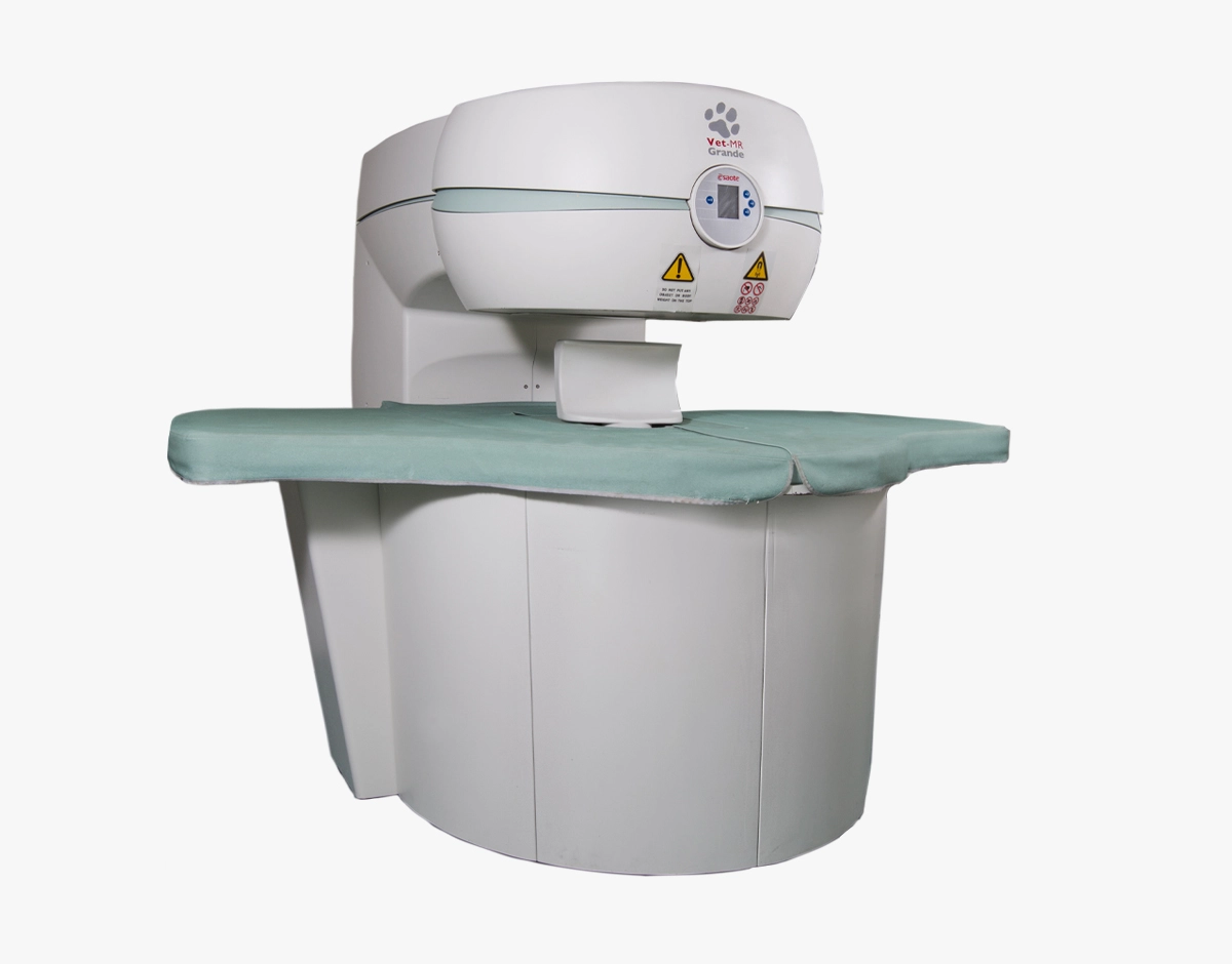 Vet-MR Grande MRI scanner