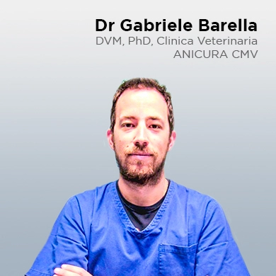 Gabriele Barella, DVM, PhD, clínica veterinaria ANICURA CMV