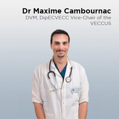 Maxime Cambournac Dr. Med. Vet., miembro ECVECC, vicepresidente VECCUS