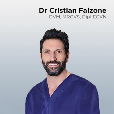 Cristian Falzone DVM, MRCVS, miembro ECVN