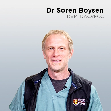 Soren Boysen, DVM, DACVECC