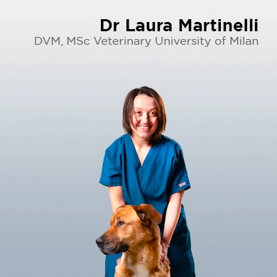 Laura Martinelli, DVM, MSc Veterinaria, Università di Milano