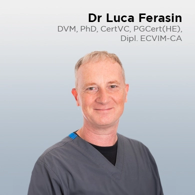 Luca Ferasin, DVM, PhD, CertVC, PGCert(HE), miembro ECVIM-CA