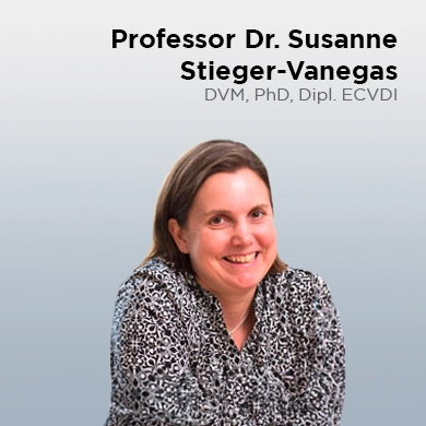 Susanne Stieger-Vanegas, DVM, PhD, miembro ECVDI