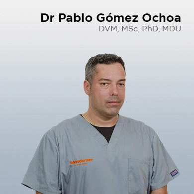 Pablo Gómez Ochoa, DVM, MSc, PhD, MDU